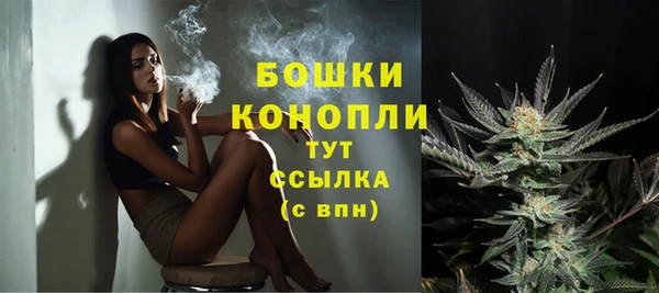 кокс Дмитриев