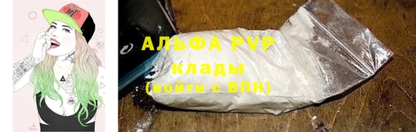 гидра Дмитров