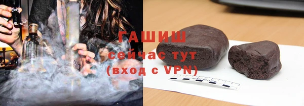 индика Дмитровск