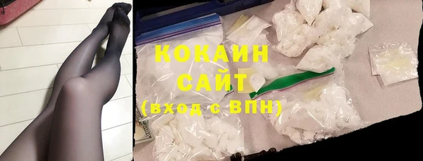 индика Дмитровск