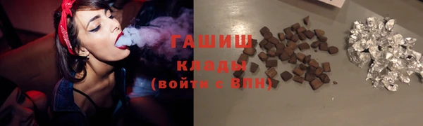 гидра Дмитров
