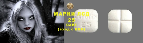 индика Дмитровск