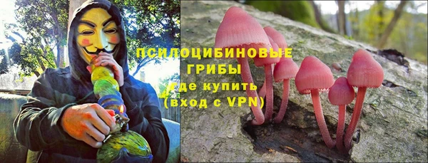 гидра Дмитров