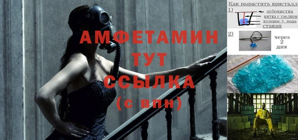 индика Дмитровск
