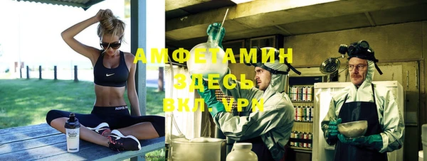 индика Дмитровск