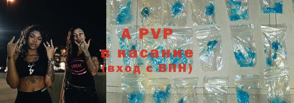 гидра Дмитров