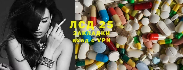 индика Дмитровск