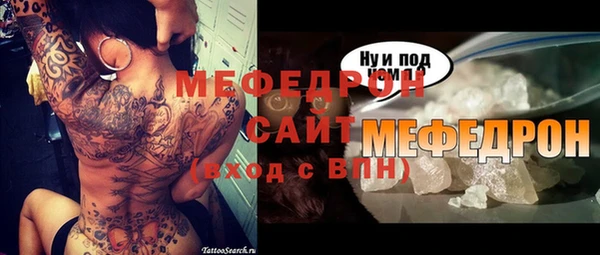 индика Дмитровск