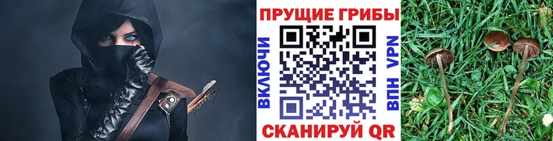 Купить закладки Лесозаводск Псилоцибиновые грибы MAGIC MUSHROOMS